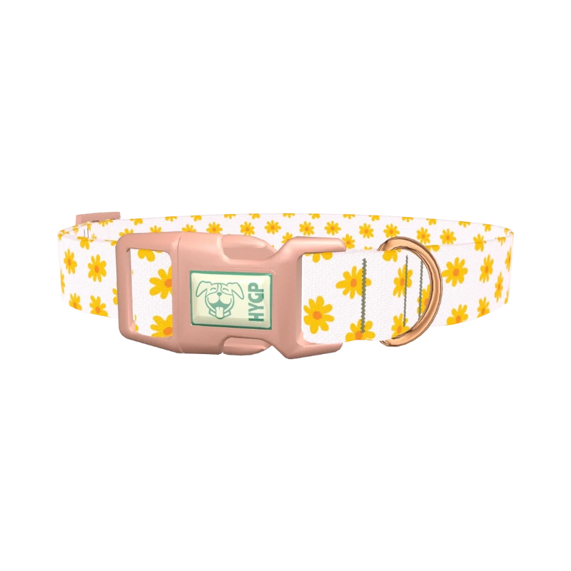 Yellow Daisy Dog Collar - plastic rose gold