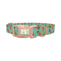 Christmas Cowboy Dog Collar - plastic rose gold