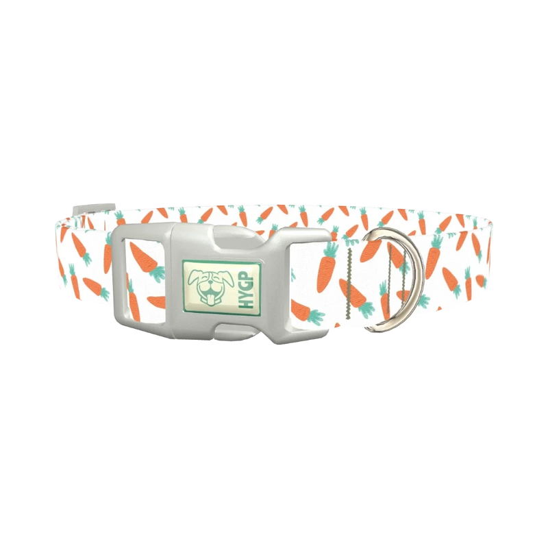 Carrot Pattern Dog Collar - plastic silver