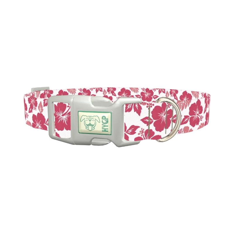 Hibiscus Blossom Dog Collar - plastic silver