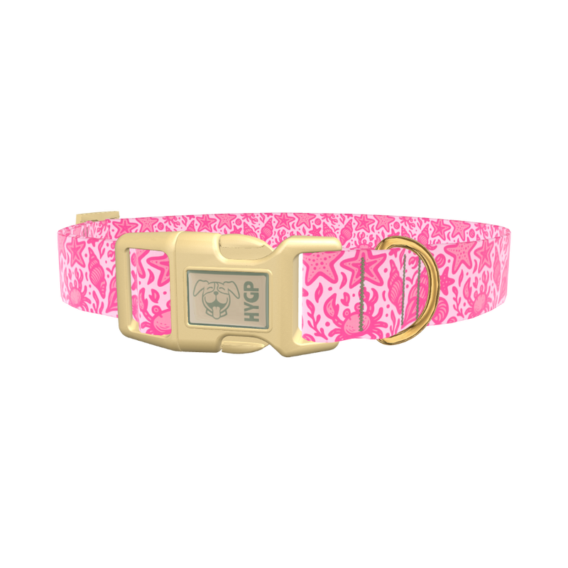 Seashell Ocean Dog Collar - plastic rose gold