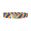 Rainbow Checkered Dog Collar - metal silver