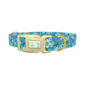 Floral Blue Dog Collar - plastic gold