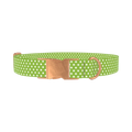Lime Green Polka Dot Dog Collar - metal rose gold