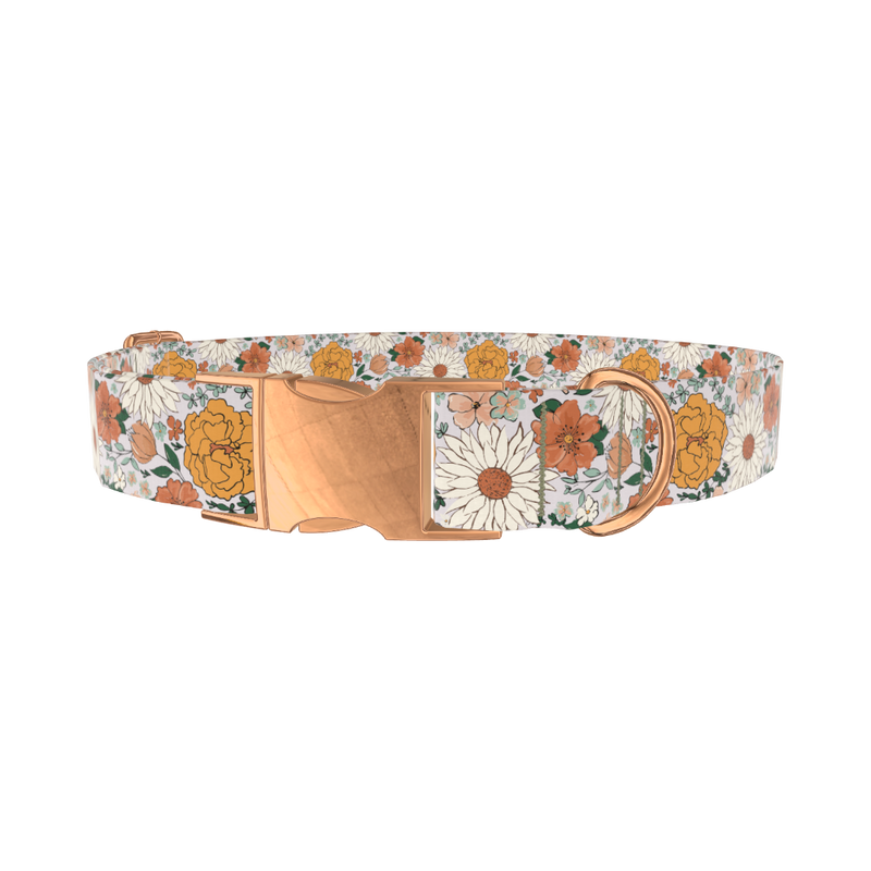Colorful Floral Dog Collar - metal rose gold