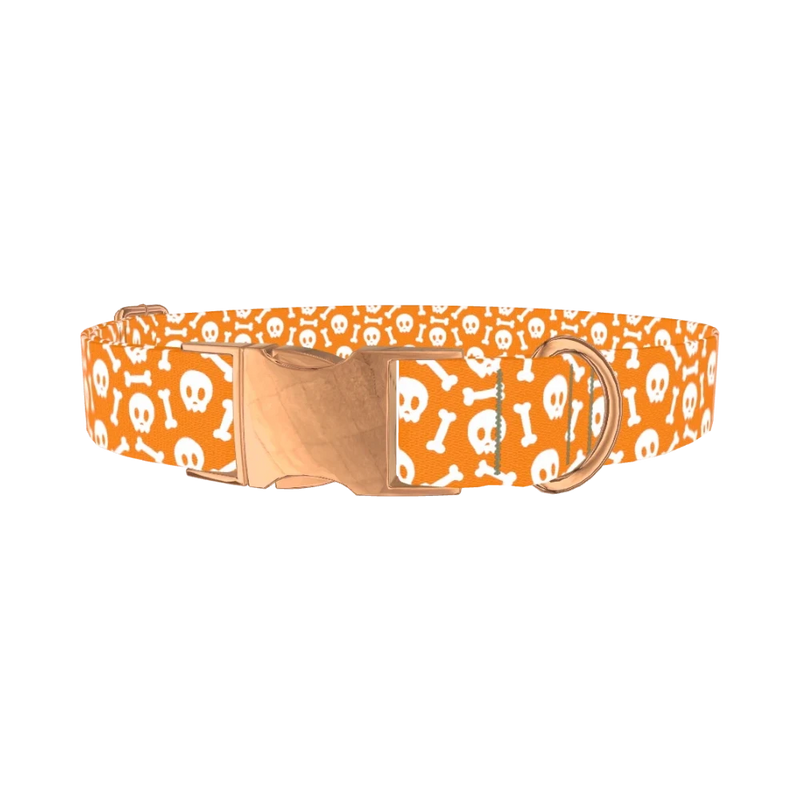 Orange Skull and Bones Dog Collar - metal rose gold