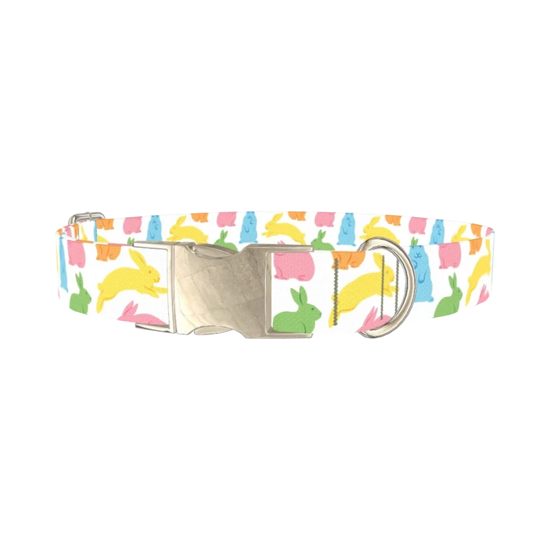 Colorful Easter Bunny Dog Collar - metal silver