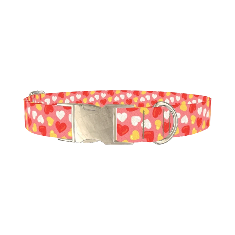 Sweetheart Pattern Dog Collar - metal silver