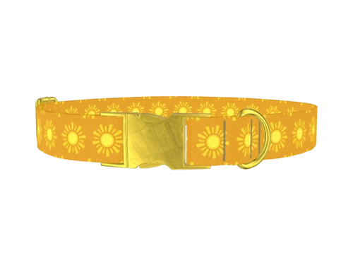 SKY_1_Sun1