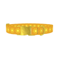 Sunburst Pattern Dog Collar - metal gold