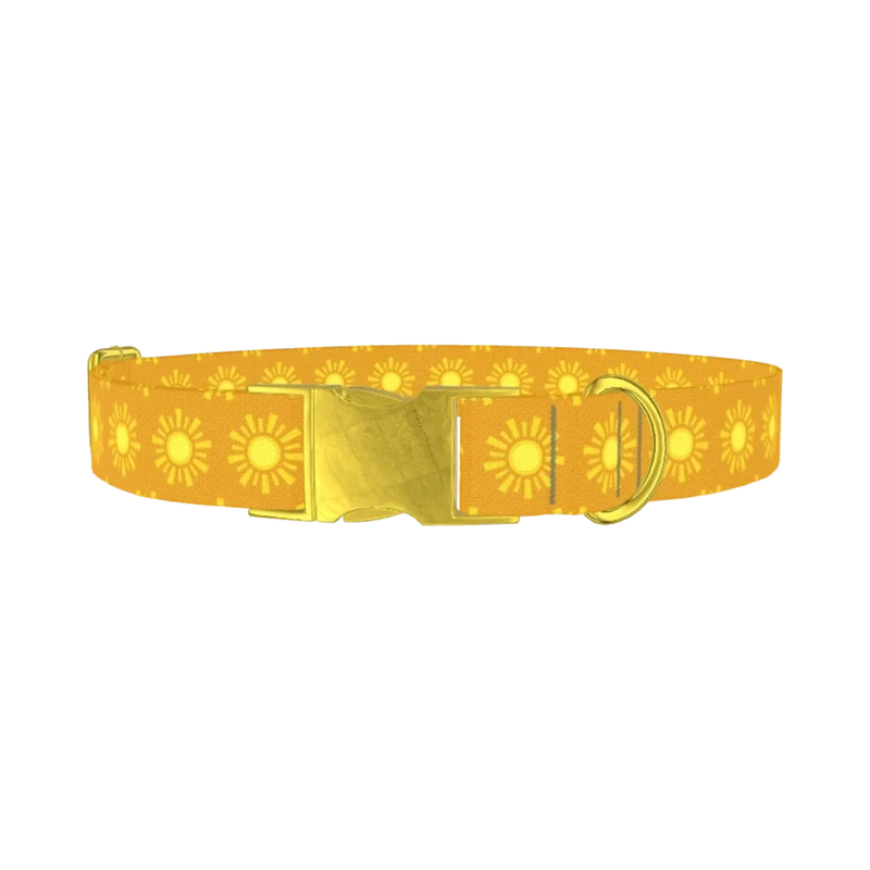 Sunburst Pattern Dog Collar - metal gold