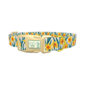 Yellow Daffodil Dog Collar - plastic gold