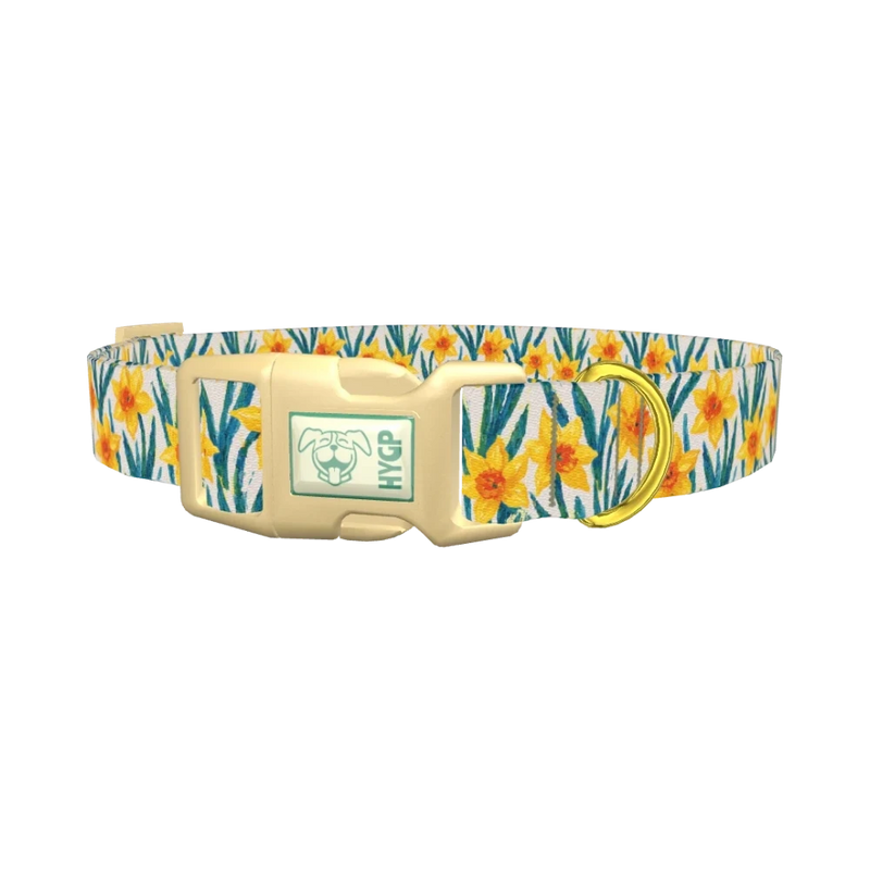 Yellow Daffodil Dog Collar - plastic gold