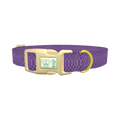 Purple Snake Print Dog Collar - plastic gold