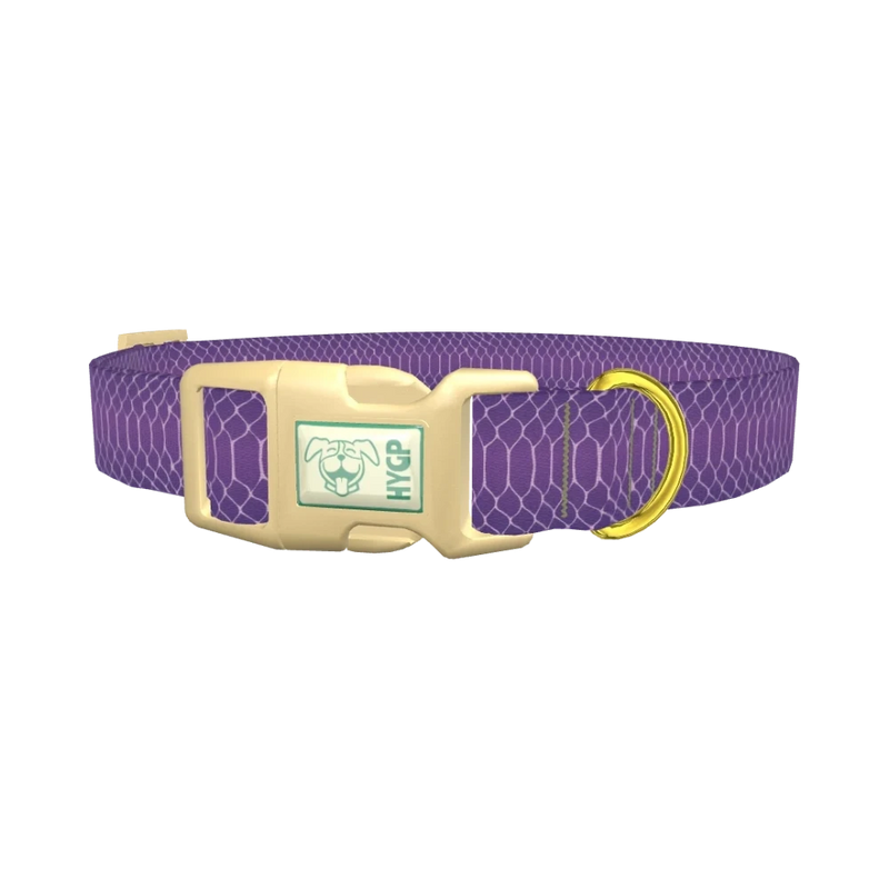 Purple Snake Print Dog Collar - plastic gold
