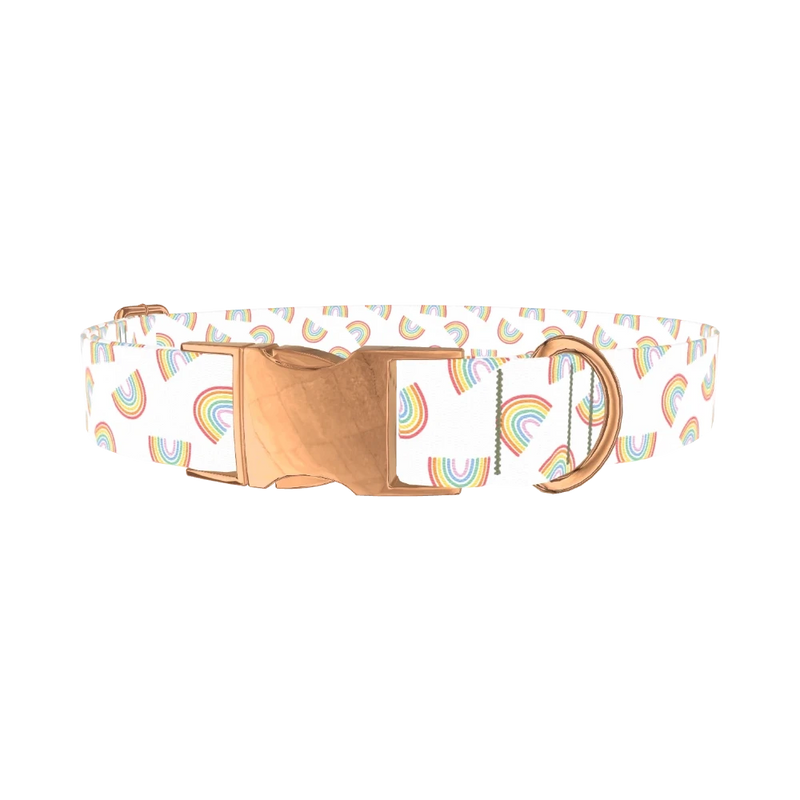 Rainbow Pattern Dog Collar - metal rose gold