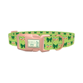 St. Patrick's Day Bow Dog Collar - plastic rose gold