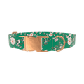 Floral Butterfly Dog Collar - metal silver