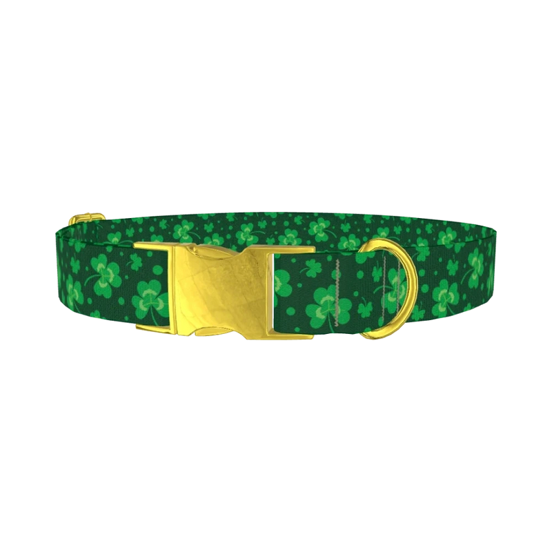 St. Patrick's Clover Dog Collar - metal gold