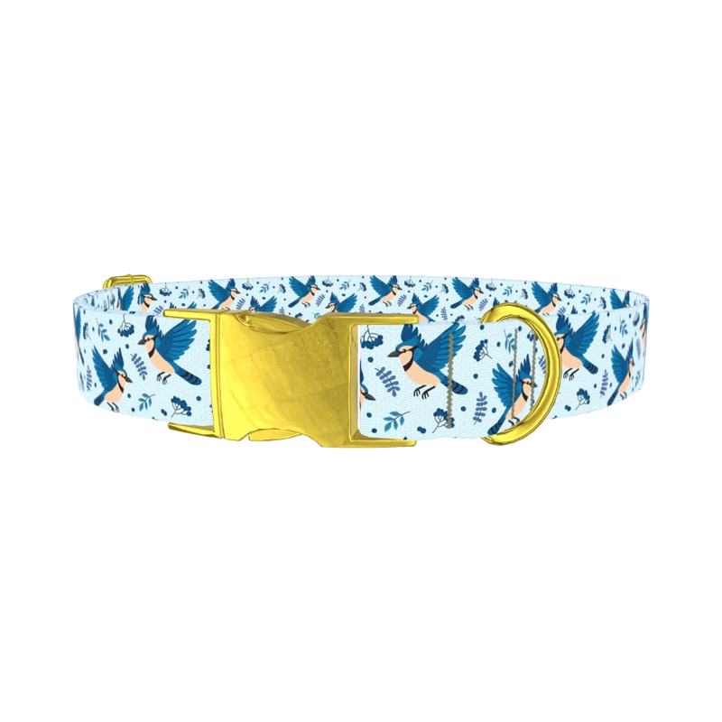 Bluejay Bird Dog Collar - metal gold