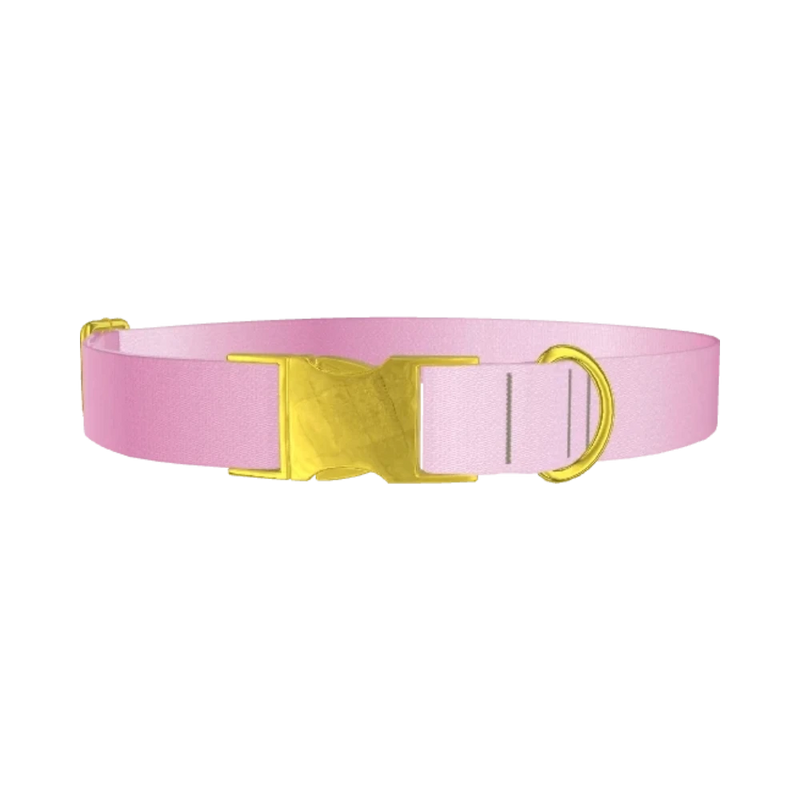 Pink Gradient Dog Collar - metal gold