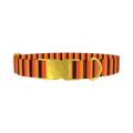 Halloween Stripe Dog Collar - metal gold