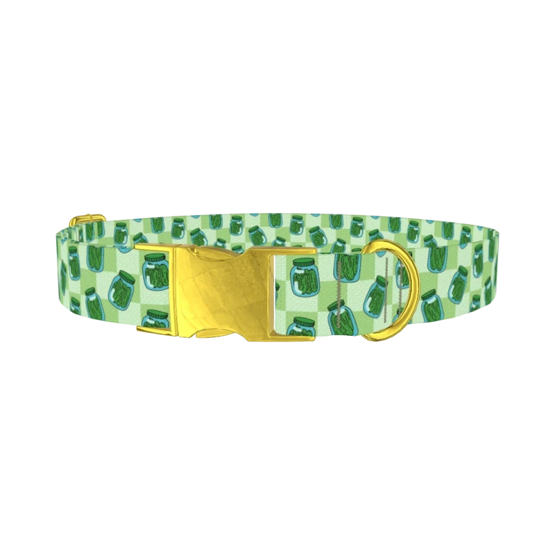 Pickle Jar Dog Collar - metal gold