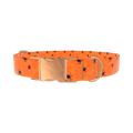 Halloween Spider Dog Collar - metal silver
