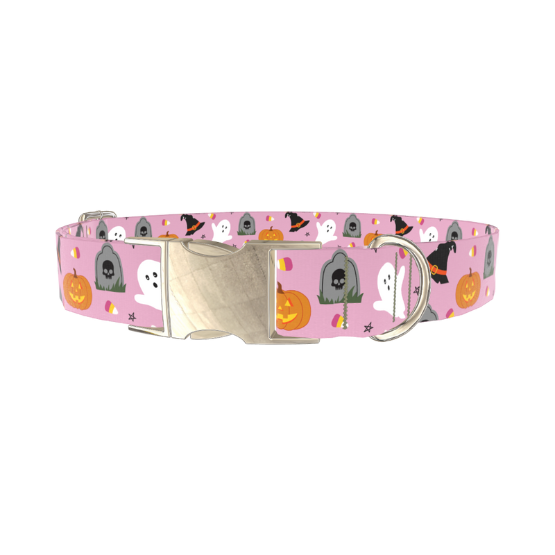 Halloween Trick or Treat Dog Collar - metal silver