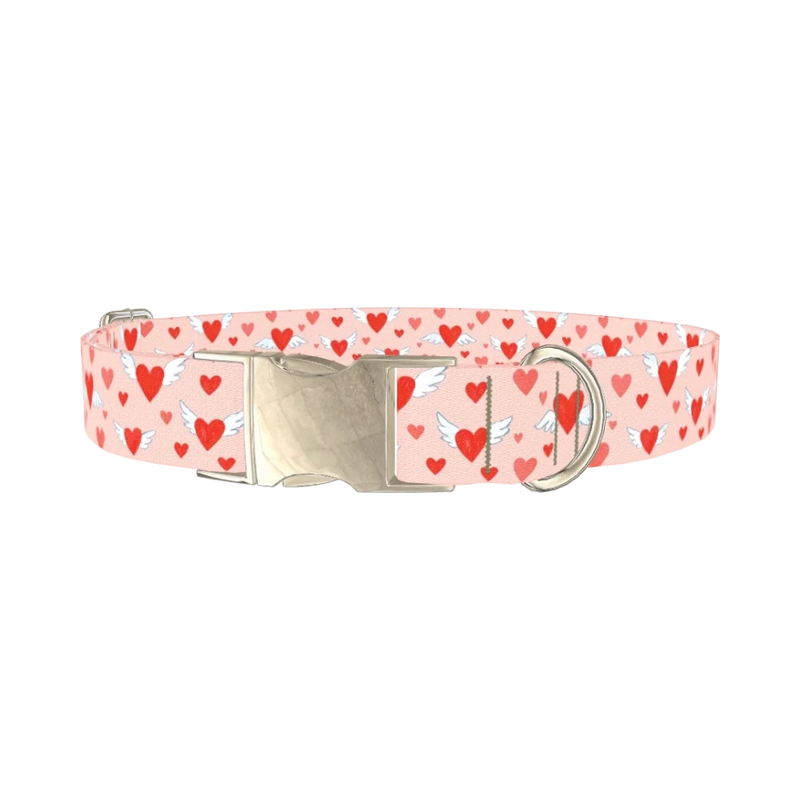 Flying Heart Dog Collar - metal silver