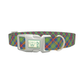 Colorful Tartan Dog Collar - plastic silver