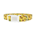 Fall Acorn Dog Collar - plastic silver
