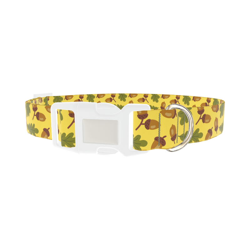 Fall Acorn Dog Collar - plastic silver