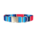 Vivid Stripe Dog Collar - metal silver