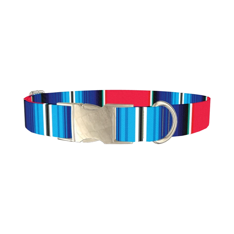 Vivid Stripe Dog Collar - metal silver