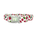 Raspberry Fruit Dog Collar - plastic silver