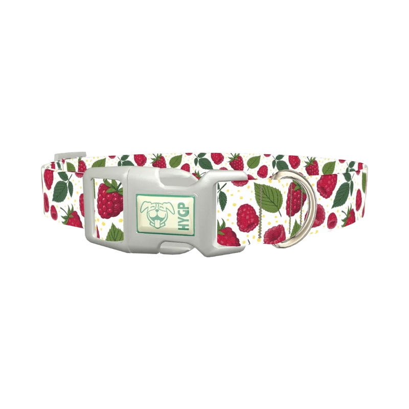Raspberry Fruit Dog Collar - plastic silver