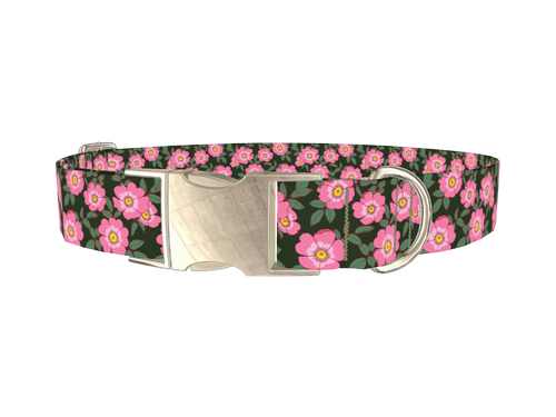 Floral Wild Rose Dog Collar