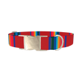 Striped Rainbow Dog Collar - metal silver