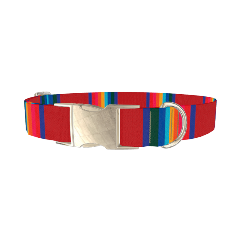 Striped Rainbow Dog Collar - metal silver