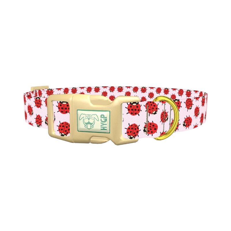 Ladybug Print Dog Collar - plastic gold