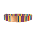 Yellow Purple Stripe Dog Collar - metal rose gold
