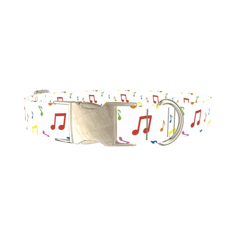 Music Note Dog Collar - metal silver