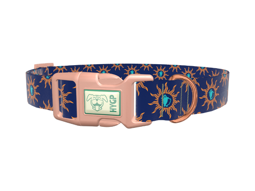 Sunburst Conch Dog Collar
