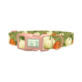 Pumpkin Floral Dog Collar - plastic rose gold