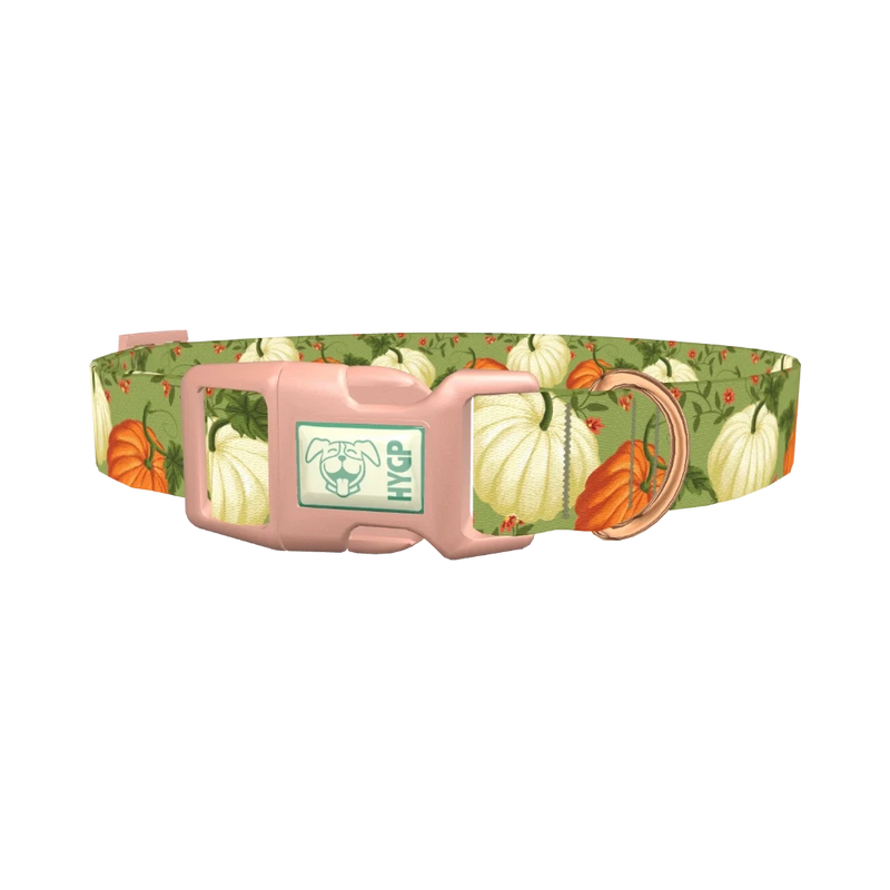 Pumpkin Floral Dog Collar - plastic rose gold