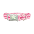 Halloween Pink Pumpkin Dog Collar - plastic silver