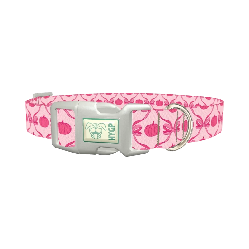 Halloween Pink Pumpkin Dog Collar - plastic silver
