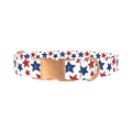 Red Blue Star Pattern Dog Collar - metal rose gold