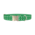 Football Field Dog Collar - metal silver